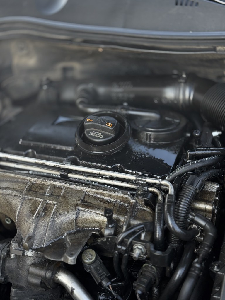 Engine bay detail during a service
